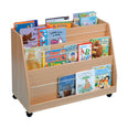 Double Sided Display Bookcase