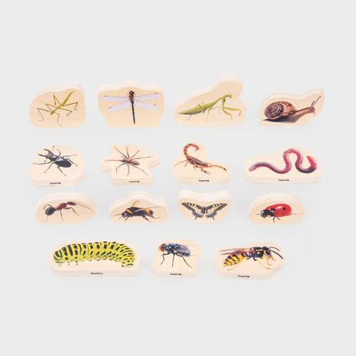 WOODEN MINIBEAST BLOCKS
