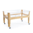 INDOOR / OUTDOOR SAND & WATER TABLE