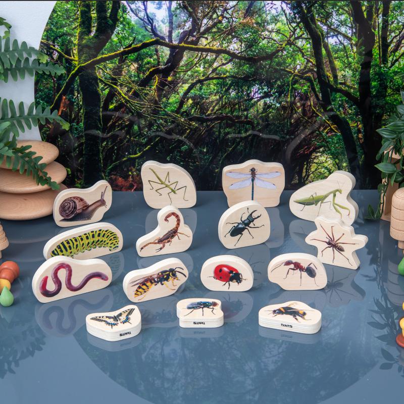 WOODEN MINIBEAST BLOCKS