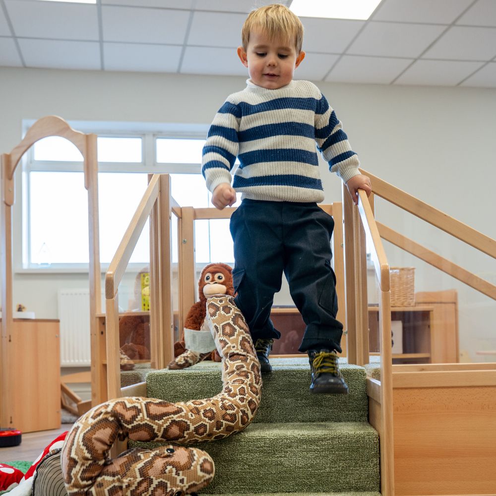 Climb & Crawl