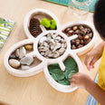 Organic Wooden Trays