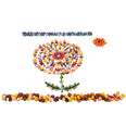 WOODEN TREASURES SUPER SET + WOODEN SORTING TRAY (14-WAY)