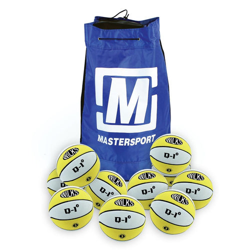 Wilks Q-1 Basketball - 10 Bag