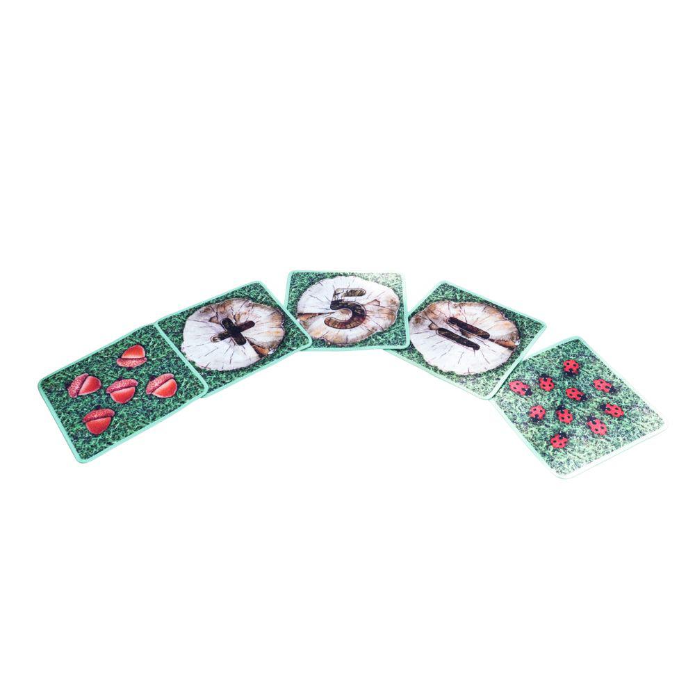 Natural World Counting Indoor Outdoor Mini Carpets