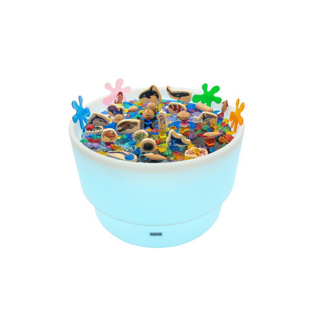DISCOVERY TABLE SEA BUNDLE