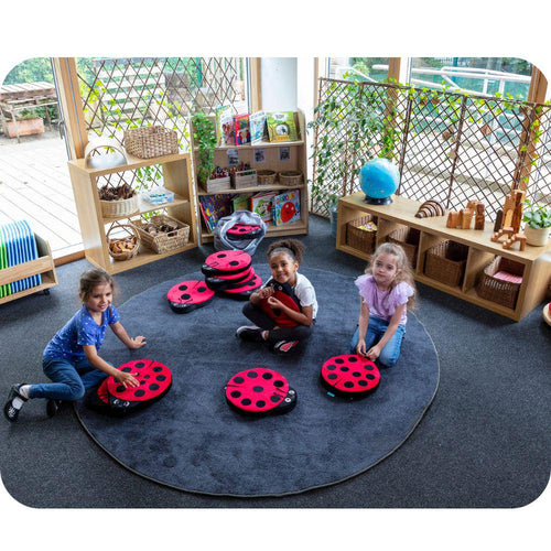 Back To Natur Sensory Ladybird Cushions