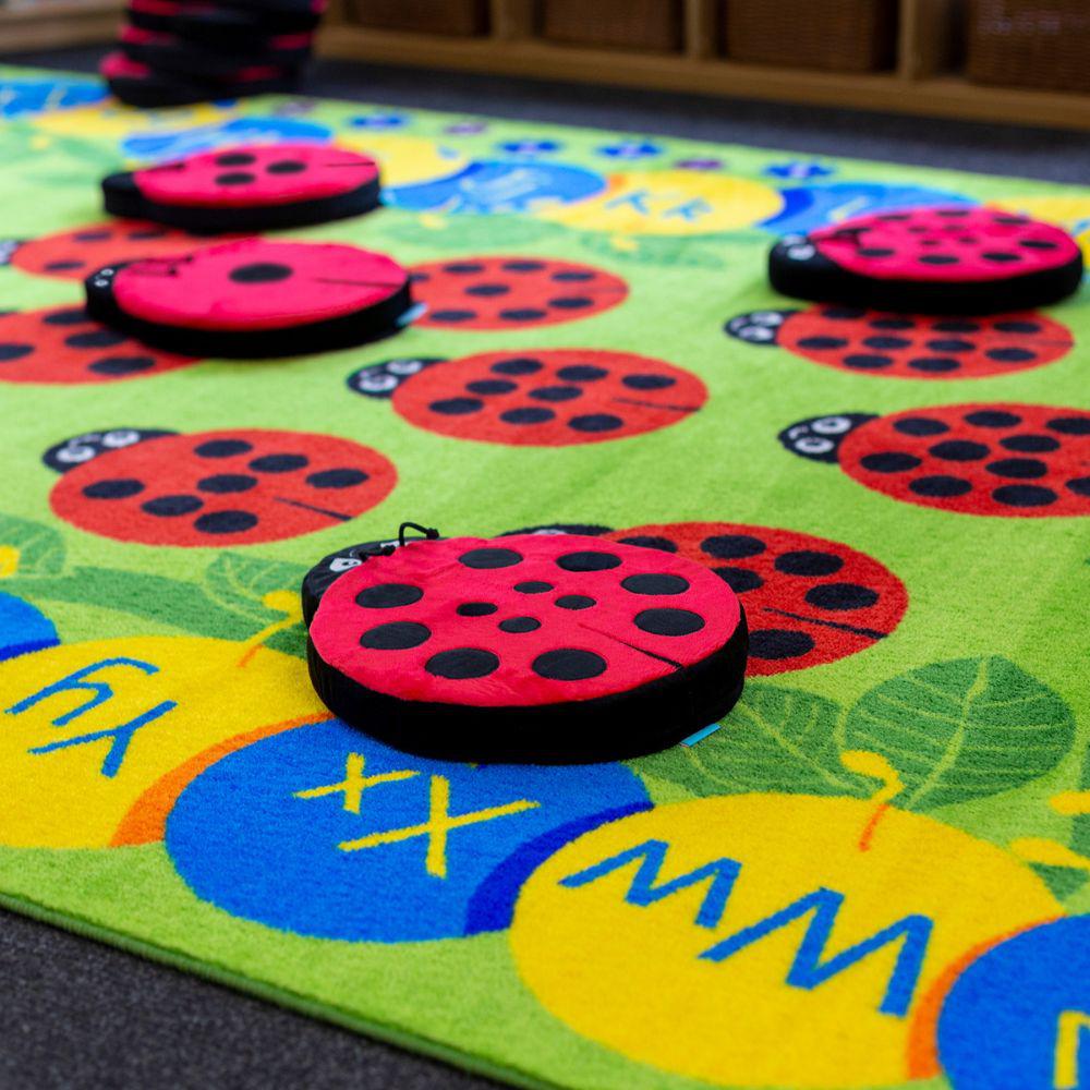 Back To Natur Sensory Ladybird Cushions