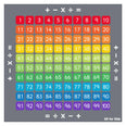 100 Square Counting Grid Carpet