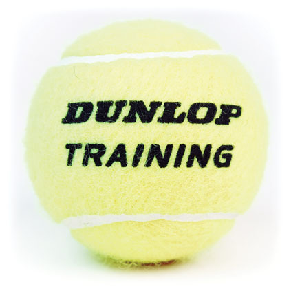 Dunlop Training Ball